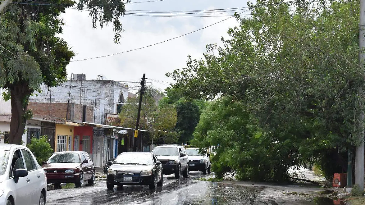 08 PREOCUPA ESCASAS LLUVIAS  Y CERO ESCURRIMIENTOS CONAGUA 1